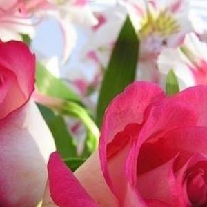 Meet your Posher, Brenda